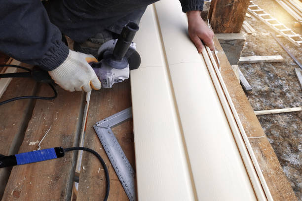 Best Siding Painting and Refinishing  in Saticoy, CA
