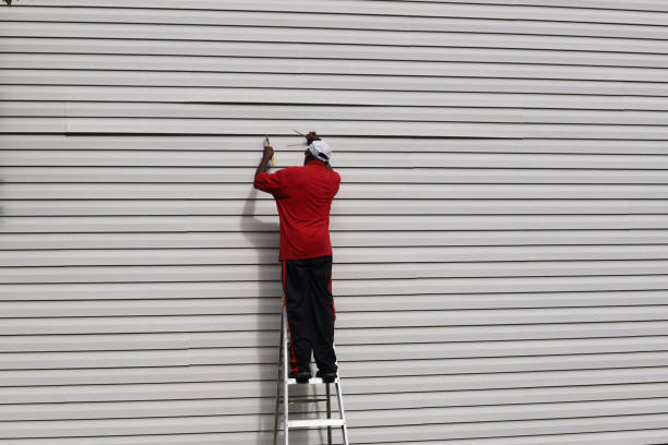 Best Siding for New Construction  in Saticoy, CA