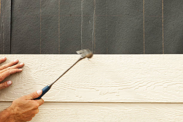  Saticoy, CA Siding Pros